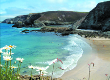 self catering apartment cornwall